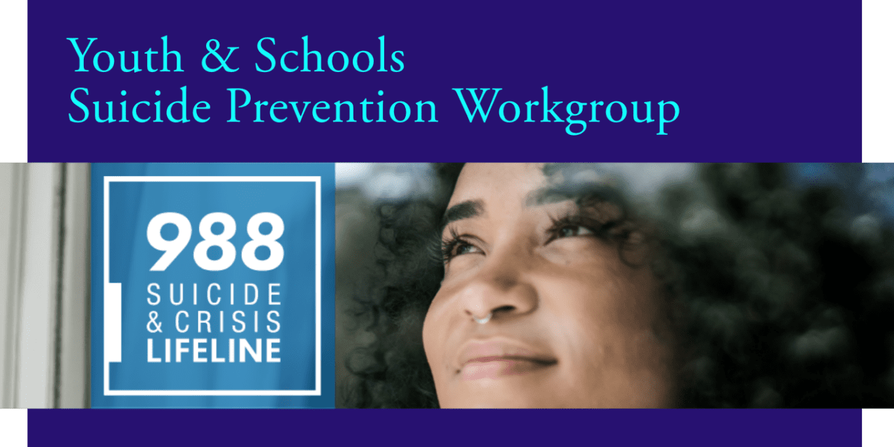 Youth & Schools Suicide Prevention workgroup