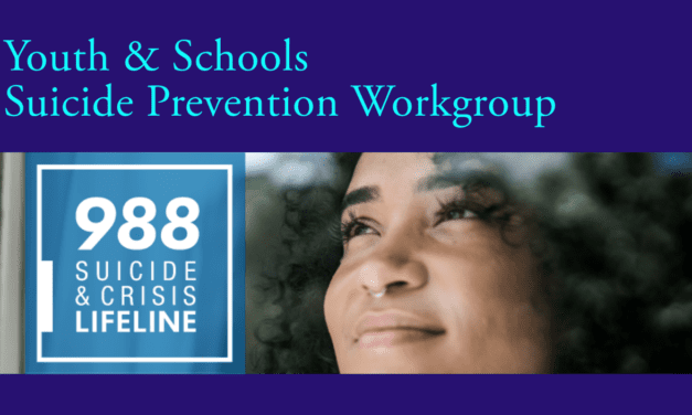 Youth & Schools Suicide Prevention workgroup