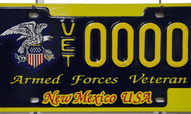 Military license plate from the MVD