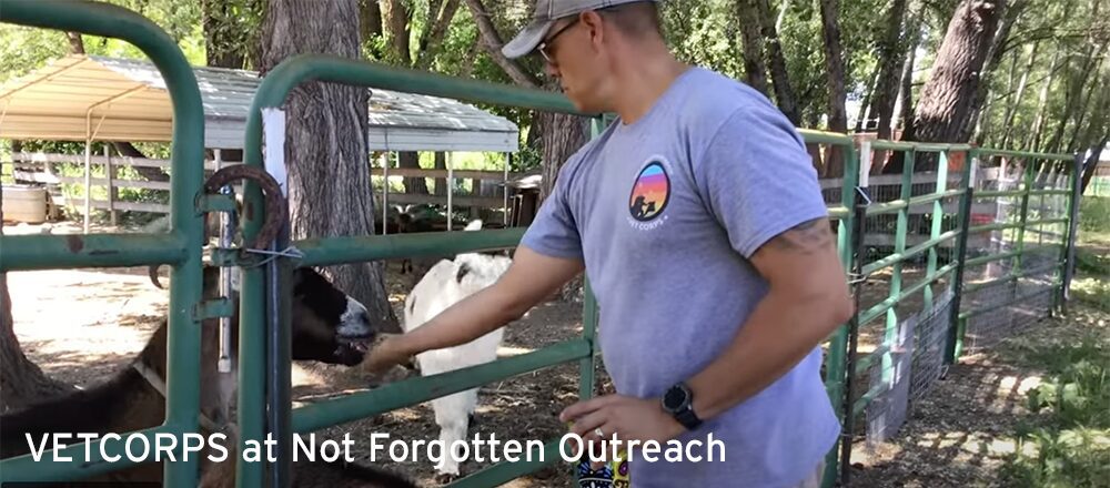 Veteran farm worker feeding a goat at Not Forgotten Outreach