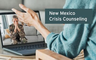 New Mexico Crisis Counseling Veteran Services
