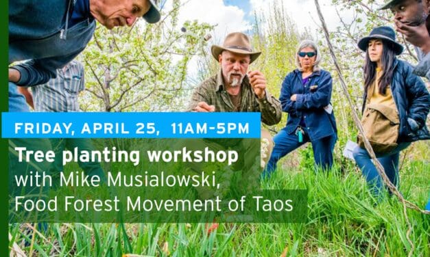 Tree planting workshop at Veterans Off-Grid